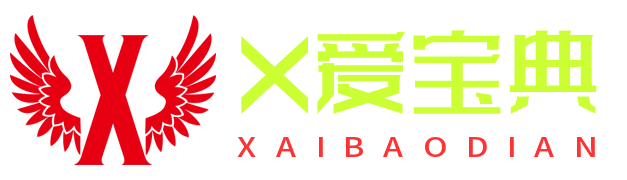 X爱宝典